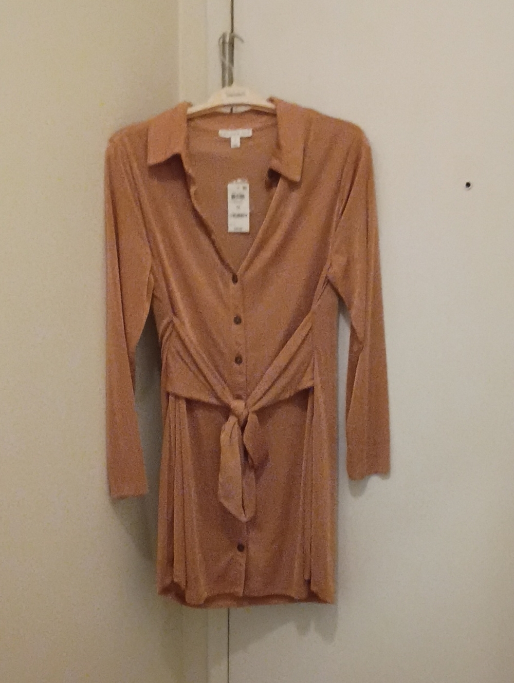 Long Sleeve Button-Front Tie-Waist Dress in Dusty Rose